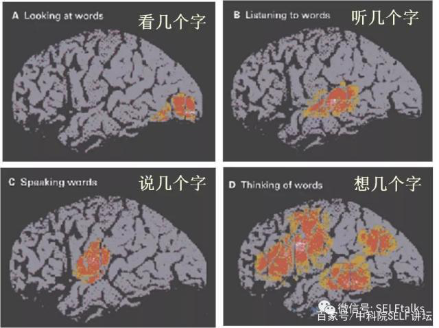 中國腦健康日關(guān)注“頭”等大事，中國腦科技的未來是什么？