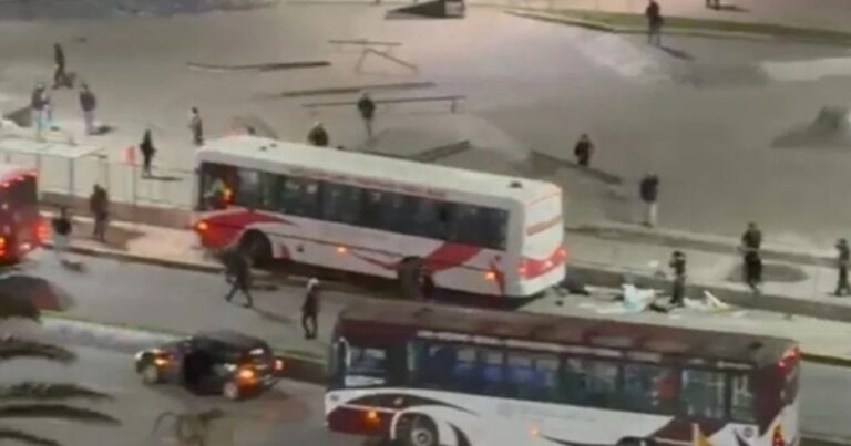 Colectivo de la línea 532 accidentado en Mar del Plata