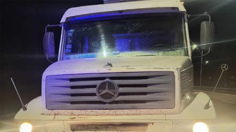 Camión secuestrado por la Policía Caminera en Bell Ville, Córdoba