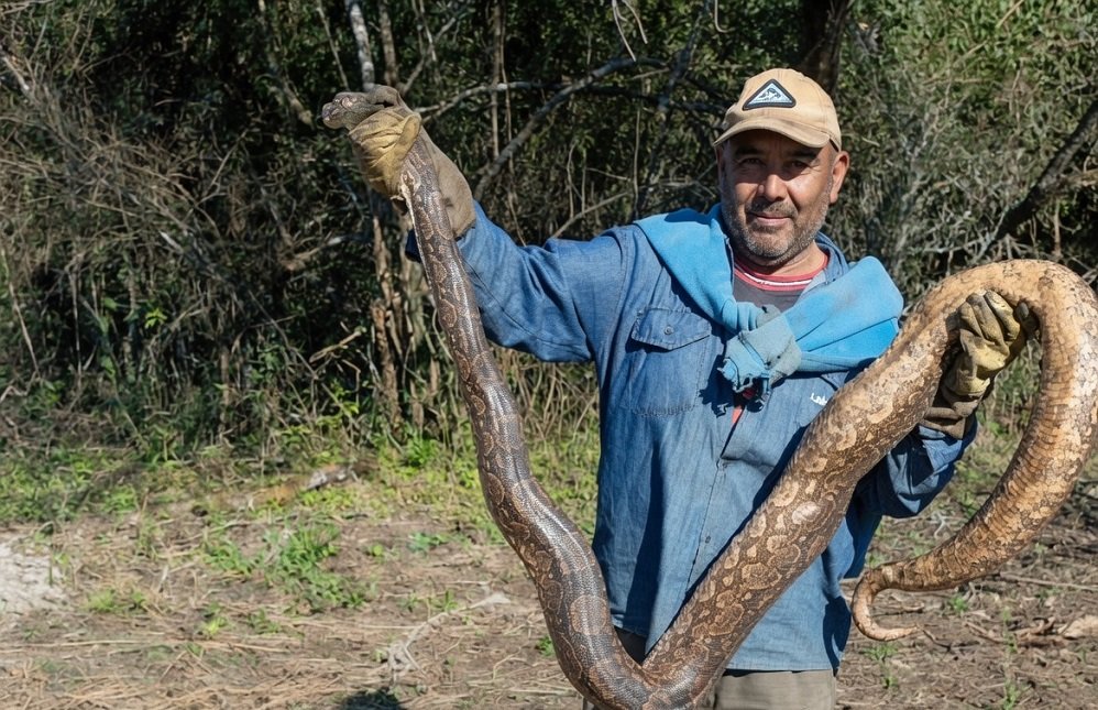 Lampalagua encontrada en La Planta, Simoca