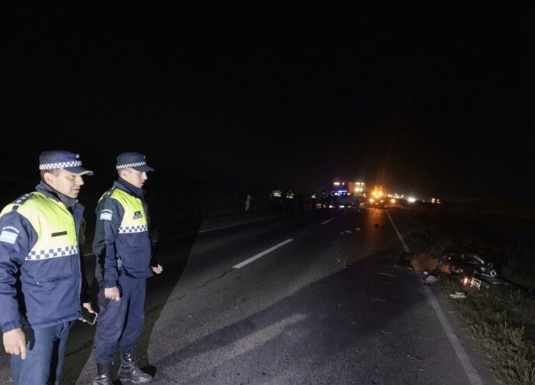 Siniestro vial en ruta nacional 9, Leales