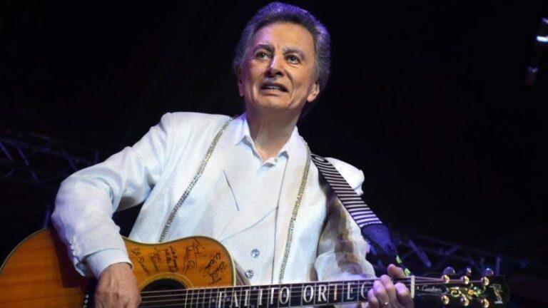 Palito Ortega en el escenario durante un concierto