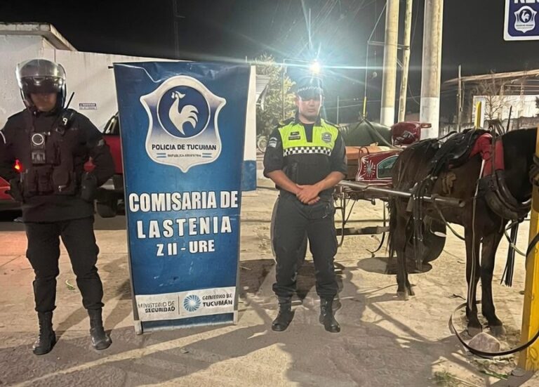 Caballo rescatado en operativo en Lastenia, Tucumán