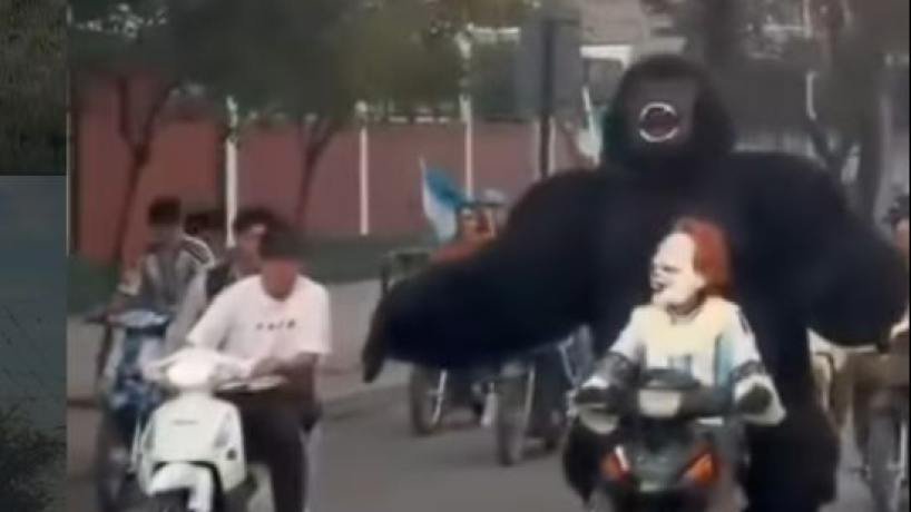 Rey Titán, gorila gigante en moto, festejando en Concepción