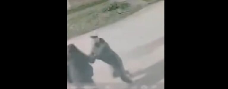 Imagen de cámara de seguridad muestra momento del robo en la vía pública