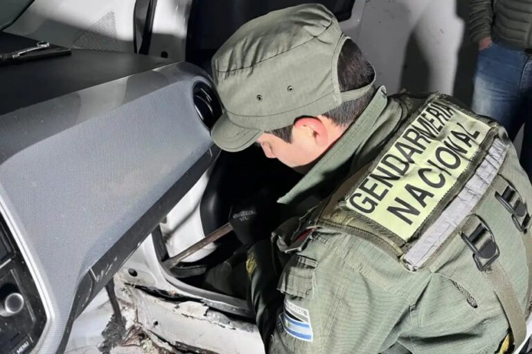 Pan de cocaína incautado con sello de delfín en operativo de Gendarmería en Tucumán
