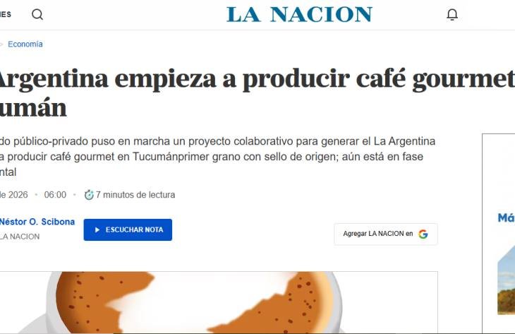Plantación de café en el pedemonte tucumano