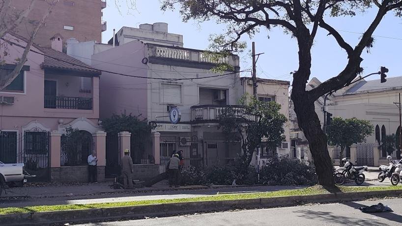 Árbol caído en la vía pública durante el viento zonda en Tucumán