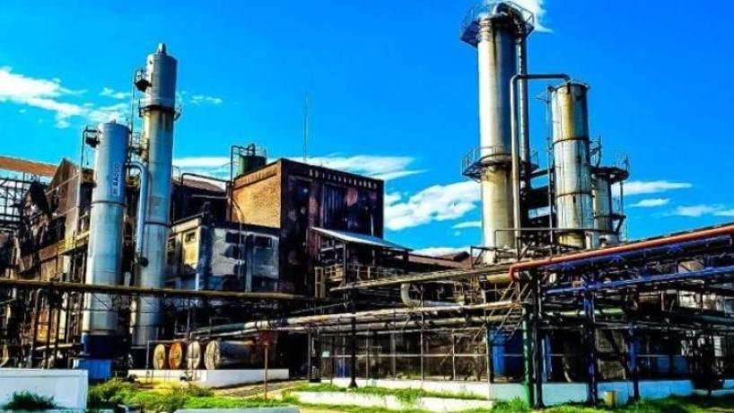 Foto de la zafra en Tucumán, cortesía de Comunicación Tucumán