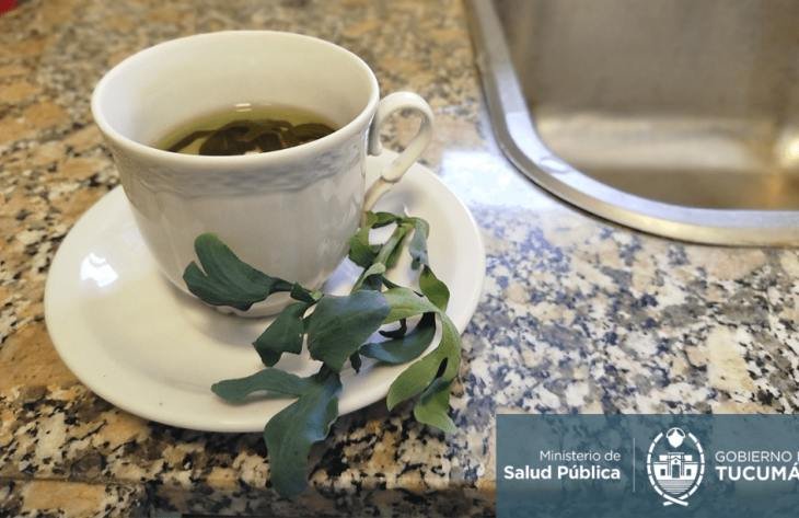 Té de ruda en una taza
