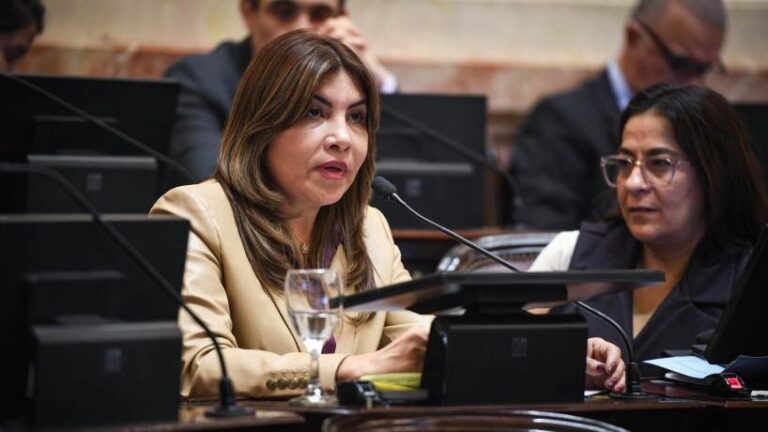 Sandra Mendoza, senadora nacional por Tucumán