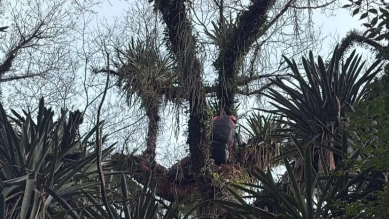 Bomberos Voluntarios de Yerba Buena durante el rescate del parapentista