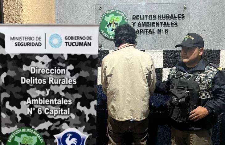 Procedimiento policial en la vía pública