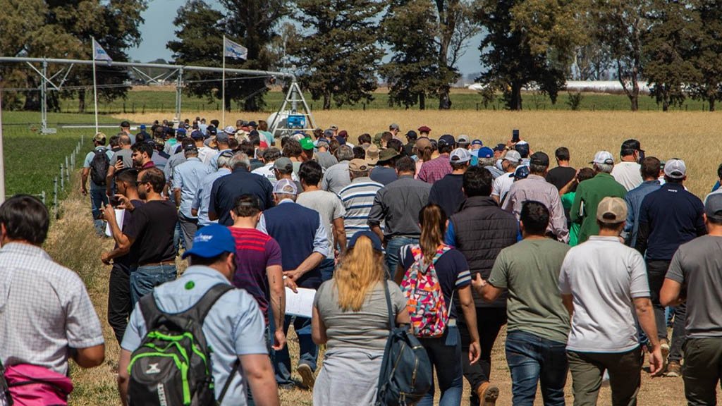 Sistema de riego por goteo subterráneo en funcionamiento en un campo de INTA Manfredi