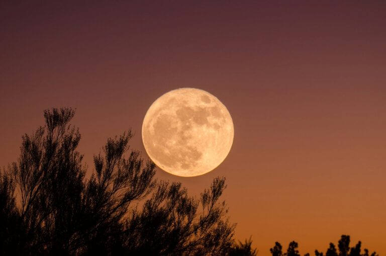 Luna llena iluminada en el cielo nocturno