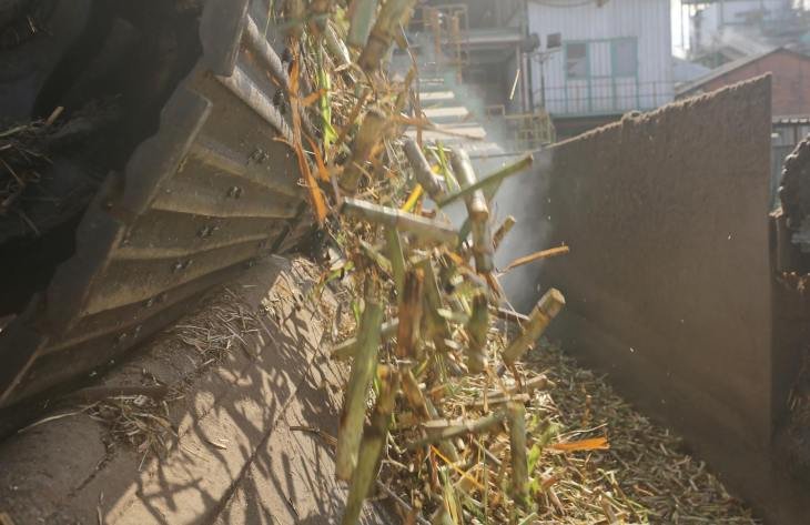 Ingenio en plena zafra con caña de azúcar siendo procesada