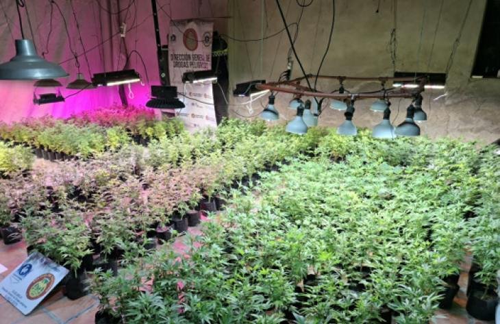 Finca en la Ruta 157 de Simoca donde la policía halló 500 plantas de marihuana