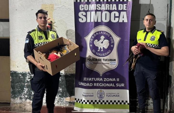Gallos rescatados durante un operativo policial en Simoca