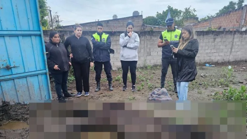 Caballo criollo zaino tendido en un terreno de Bella Vista, Tucumán, en estado de desnutrición