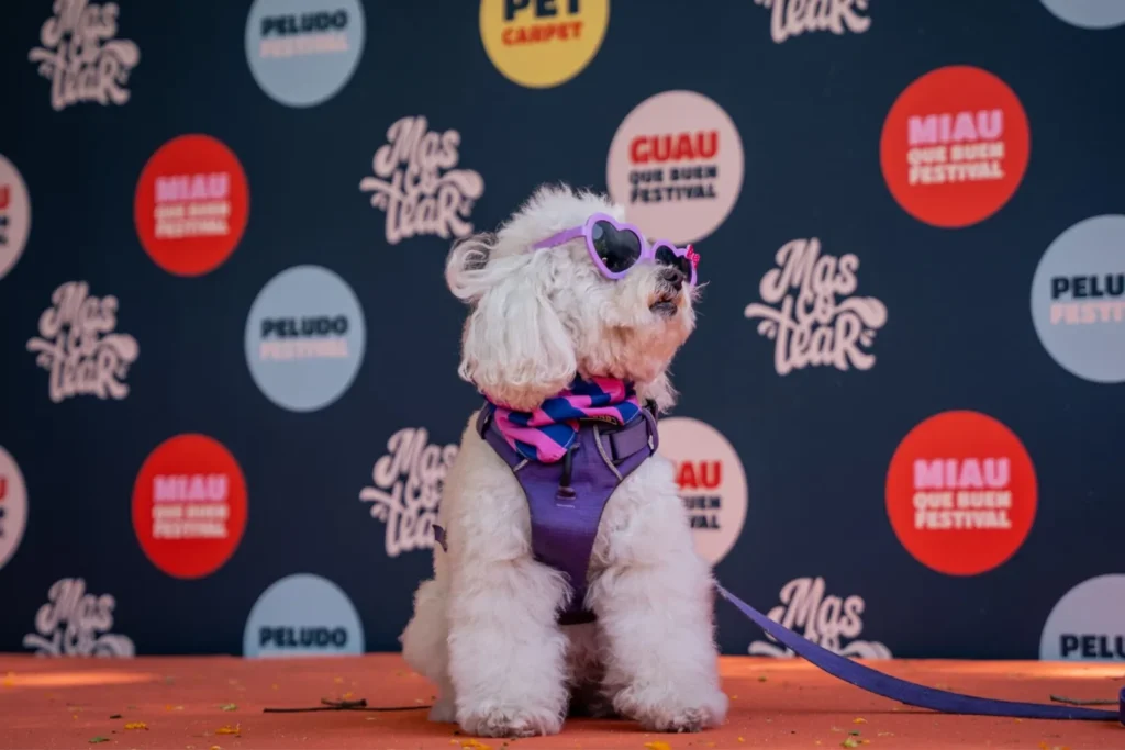 Mascotas y sus tutores participando en el festival Mascotear 2026 en Buenos Aires
