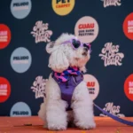 Mascotas y sus tutores participando en el festival Mascotear 2026 en Buenos Aires