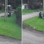 Mujer asaltada en Mar del Plata sufrió fractura de pierna