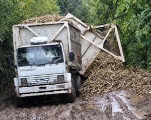 Camión cañero volcado en la ruta de Los Sifones, Famaillá, con caña de azúcar esparcida sobre el camino